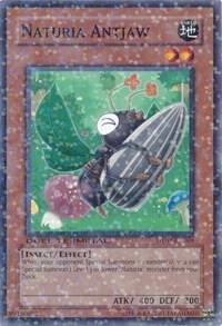 Naturia Antjaw - Duel Terminal 2 YuGiOh trading card