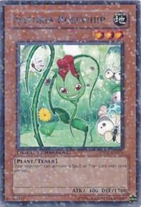 Naturia Rosewhip - Duel Terminal 2 YuGiOh trading card