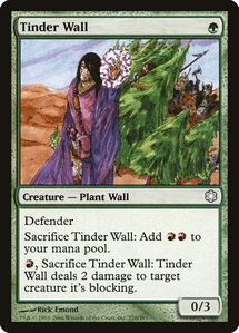 Tinder Wall - Coldsnap Theme Deck Reprints (CTD) #270 - Common Magic: The Gathering Trading Card