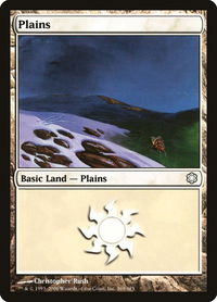 Plains (369) - Coldsnap Theme Deck Reprints (CTD) #369 - Land Magic: The Gathering Trading Card