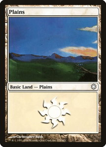 Plains (370) - Coldsnap Theme Deck Reprints (CTD) #370 - Land Magic: The Gathering Trading Card