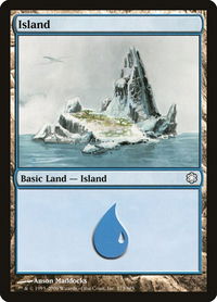 Island (373) - Coldsnap Theme Deck Reprints (CTD) #373 - Land Magic: The Gathering Trading Card