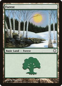 Forest (382) - Coldsnap Theme Deck Reprints (CTD) #382 - Land Magic: The Gathering Trading Card