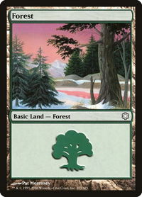 Forest (383) - Coldsnap Theme Deck Reprints (CTD) #383 - Land Magic: The Gathering Trading Card