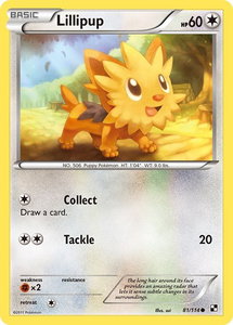 Lillipup (81) - Black and White (BLW) #81/114 - Common Pokémon Trading Card
