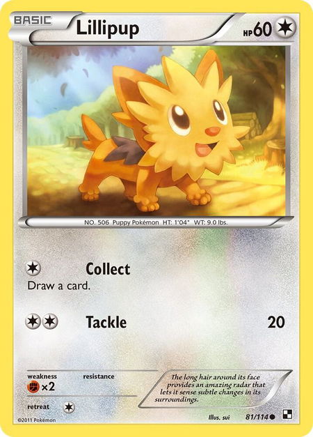 Lillipup (81) - Black and White Pokémon trading card