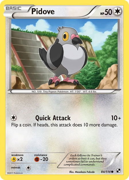 Pidove trading card from Black and White Pidove - Black and White Pokémon trading card