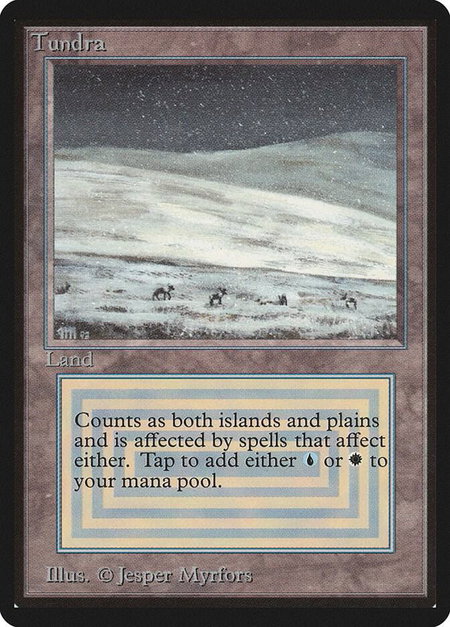 Tundra - Beta Edition Magic: The Gathering trading card