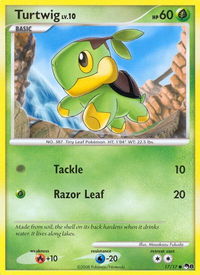 Turtwig - POP Series 8 (POP) #017/017 - Common Pokémon Trading Card