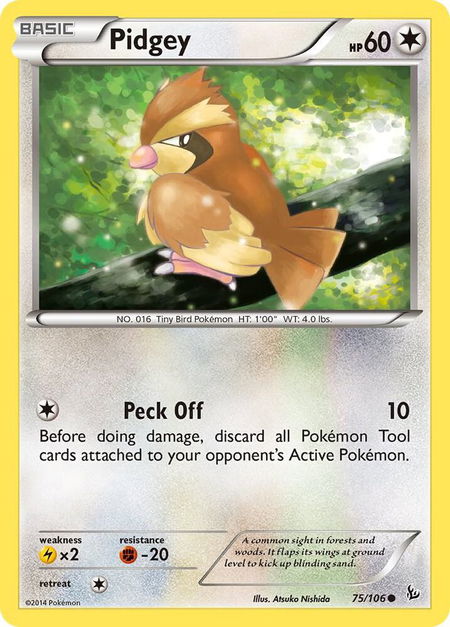 Pidgey trading card from XY - Flashfire Pidgey - XY - Flashfire Pokémon trading card