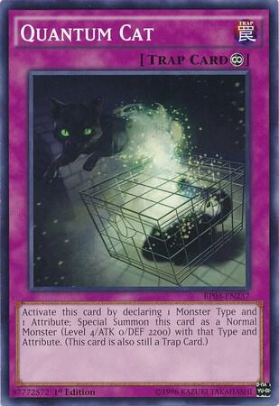 Quantum Cat trading card from Battle Pack 3: Monster League Quantum Cat - Battle Pack 3: Monster League YuGiOh trading card