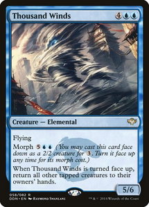 Thousand Winds - Duel Decks: Speed vs. Cunning (DDN) #58 - Rare Magic: The Gathering Trading Card