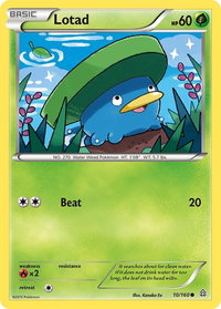Lotad - XY - Primal Clash (PRC) #10/160 - Common Pokémon Trading Card