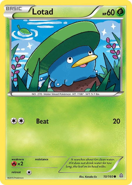 Lotad - XY - Primal Clash Pokémon trading card