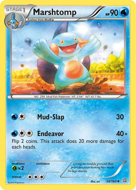 Marshtomp trading card from XY - Primal Clash Marshtomp - XY - Primal Clash Pokémon trading card