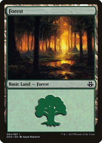 Forest (064) - Duel Decks: Elspeth vs. Kiora (DDO) #64 - Land Magic: The Gathering Trading Card