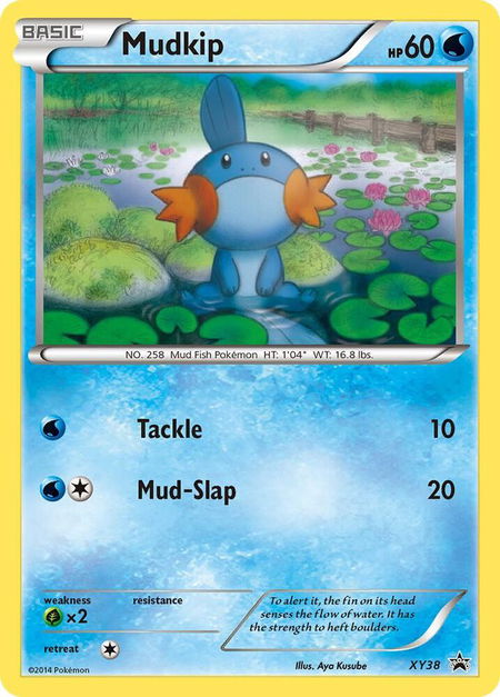 Mudkip - XY38 - XY Promos Pokémon trading card