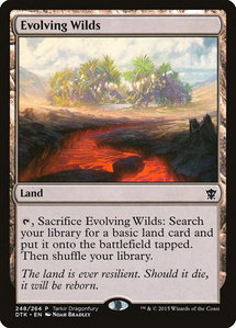 Evolving Wilds - Tarkir Dragonfury Promos (TDP) #248 - Common Magic: The Gathering Trading Card