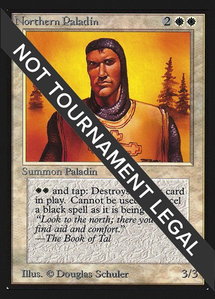Northern Paladin (IE) - International Edition (IED) #30 - Rare Magic: The Gathering Trading Card
