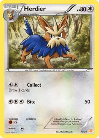 Herdier - BW Trainer Kit: Excadrill & Zoroark (BLW) #19/30 - Common Pokémon Trading Card