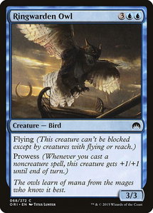 Ringwarden Owl - Magic Origins (ORI) #68 - Common Magic: The Gathering Trading Card